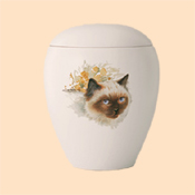 Portraiturne Katze zwei