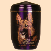 Portraiturne Schaeferhund eins